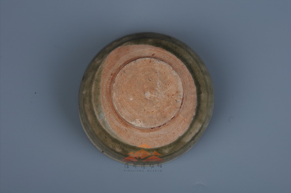 00701-F-0001_调整大小.jpg