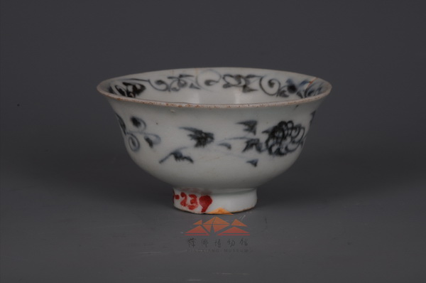 00681-C-0002_调整大小.jpg